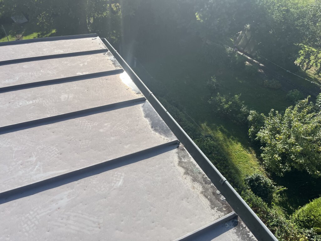 Flachdach mit Bitumenbahnen und Regenrinne, umgeben von grünen Bäumen und Garten