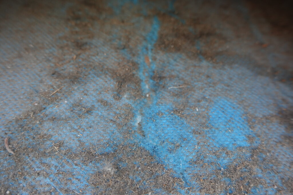 Verwitterter blauer Betonboden mit Staub und Schmutz in Nahaufnahme
