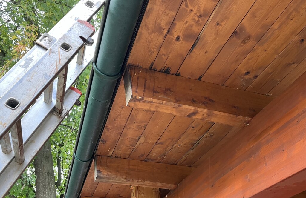 Holzdecke mit grünem Regenrohr und Leiter an Hauswand mit sichtbarer Wasserschaden-Verfärbung